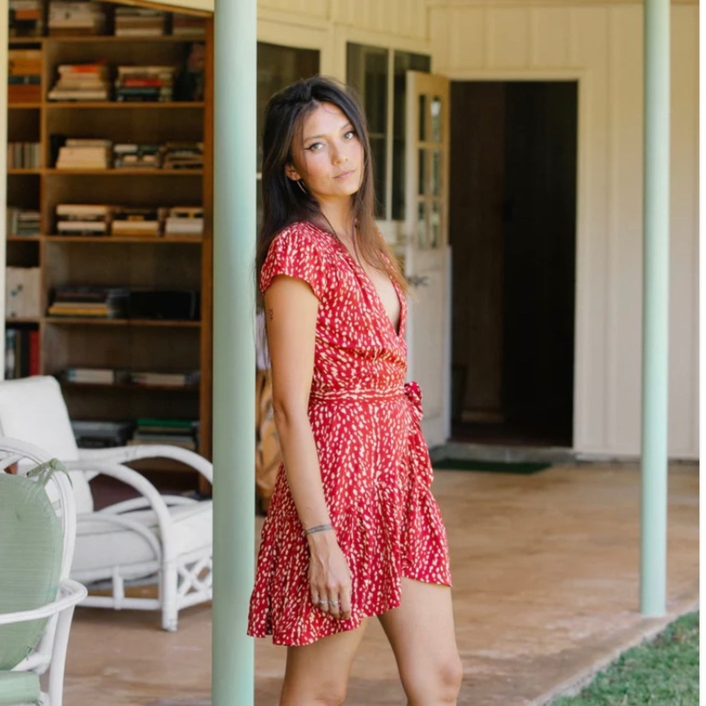 XIX Palms Nairobi Party Dress BNWT L